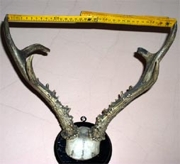 Rozpi�to�� 35cm